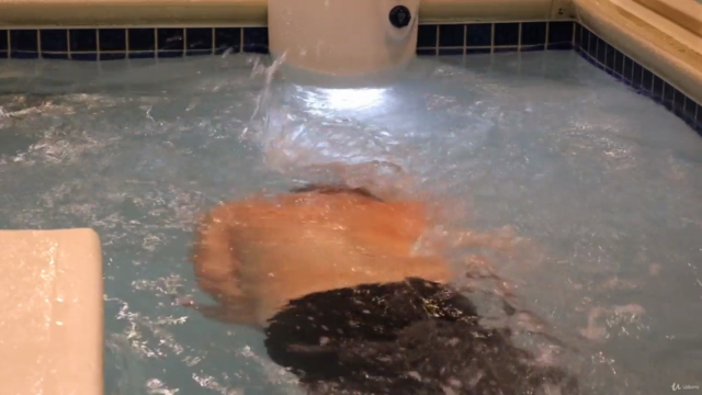 Personal Training, Swimming for Fitness, & Weight Loss – Screenshot 4