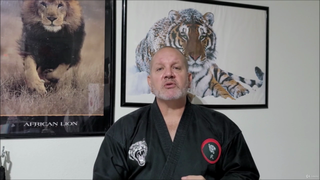Karate; Tang Soo Do Techniques & Forms - Beginner Part Two – Screenshot 3
