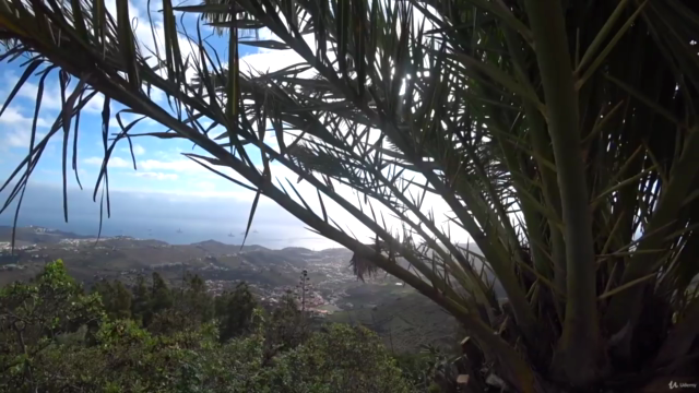 Digital Nomad Bootcamp: Work From Anywhere, On Your Terms – Screenshot 4