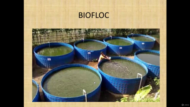 How Set Up Biofloc System For Fish Farm – Screenshot 3