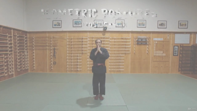 Martial Arts - Ninjutsu - Beginner Foundation – Screenshot 1