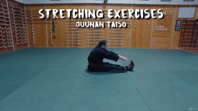 Martial Arts - Ninjutsu - Beginner Foundation – Screenshot 2