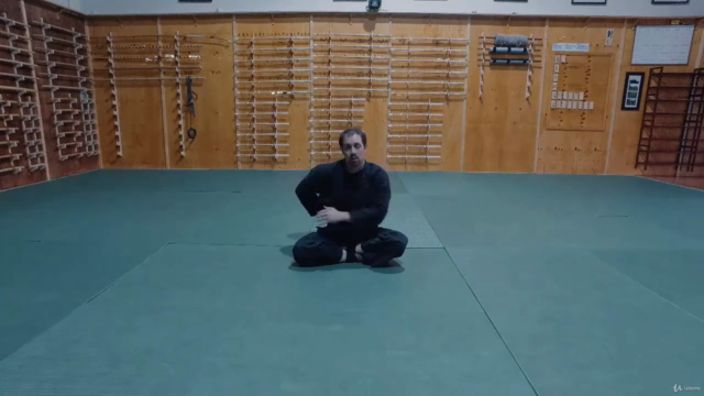 Martial Arts - Ninjutsu - Beginner Foundation – Screenshot 3