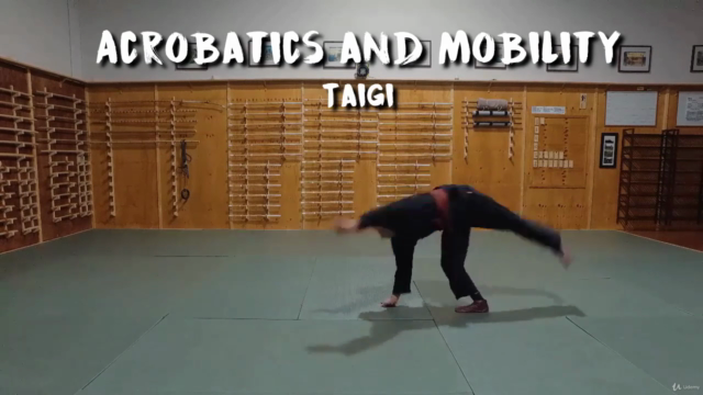 Martial Arts - Ninjutsu - Beginner Foundation – Screenshot 4