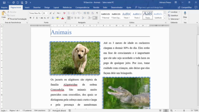 Curso de Word Fundamental - do Básico ao Intermediário – Screenshot 3