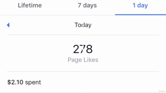 How to Make and Grow Facebook Page(Fast) Wtih Paid Ads – Screenshot 3
