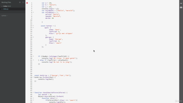 Javascript voor beginners - in 2 uur leren programmeren – Screenshot 2