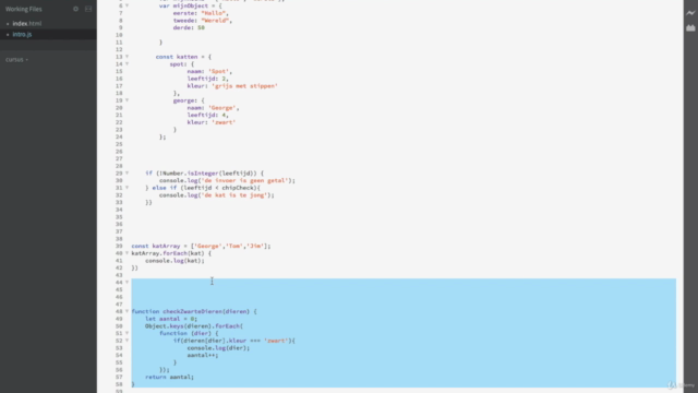 Javascript voor beginners - in 2 uur leren programmeren – Screenshot 3