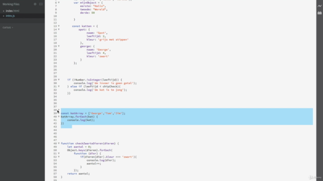 Javascript voor beginners - in 2 uur leren programmeren – Screenshot 4