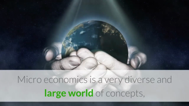 The Complete Micro Economics Course For Beginners – Screenshot 2