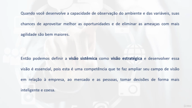Como desenvolver a Visão Sistêmica de Negócios – Screenshot 4