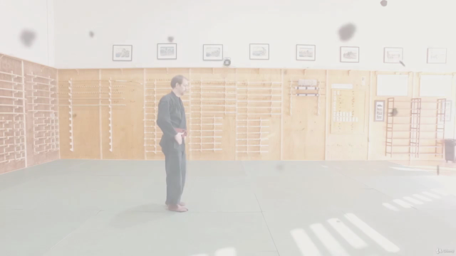 Martial Arts - Taijutsu - Beginner Foundation – Screenshot 1
