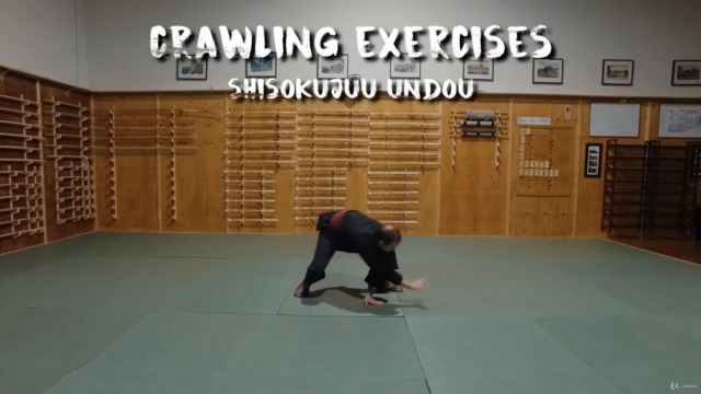 Martial Arts - Taijutsu - Beginner Foundation – Screenshot 2