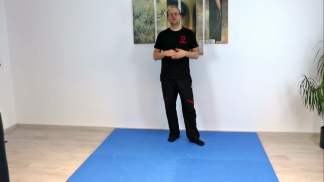 Wing Chun - Das komplette achte Schülerprogramm – Screenshot 2