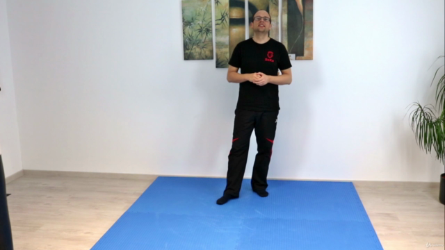 Wing Chun - Das komplette achte Schülerprogramm – Screenshot 3