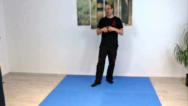 Wing Chun - Das komplette achte Schülerprogramm – Screenshot 4