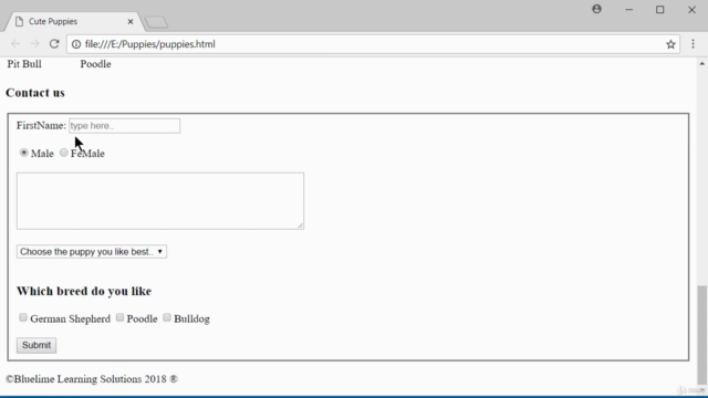 Learn to code with HTML from Scratch – Screenshot 3