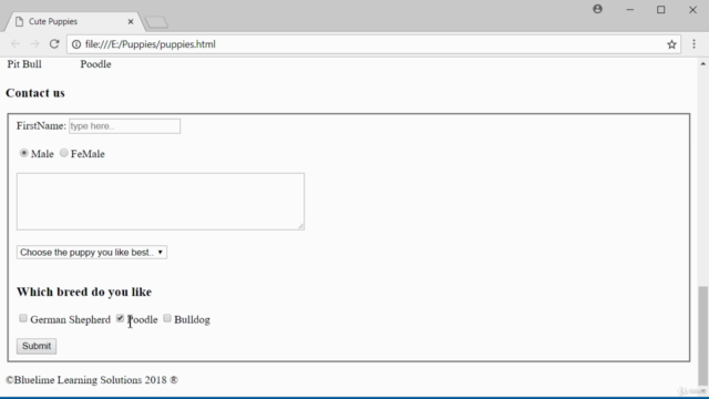Learn to code with HTML from Scratch – Screenshot 4