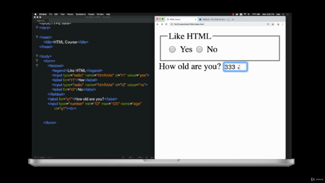 Introduction to HTML Complete Beginner to Expert Course – Screenshot 2