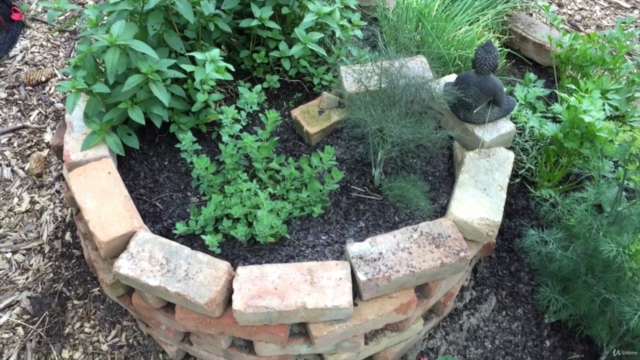 All About Gardening With Herbs – Screenshot 1