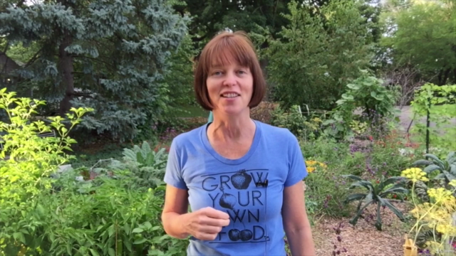 All About Gardening With Herbs – Screenshot 3