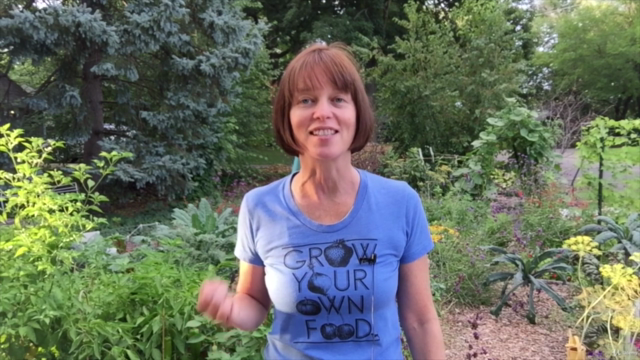 All About Gardening With Herbs – Screenshot 4