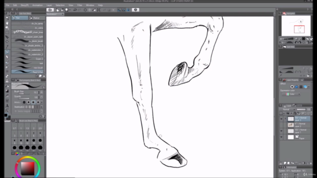 DESSIN D'ANIMAUX: Le cours complet – Screenshot 2