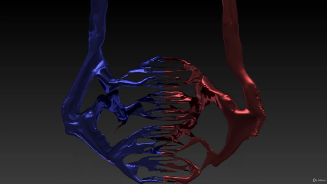 Introducción a los Órganos y Sistemas – Screenshot 1