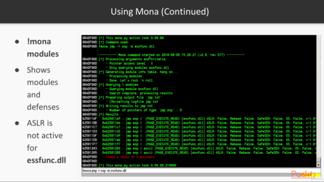 Binary Exploits with Python – Screenshot 4