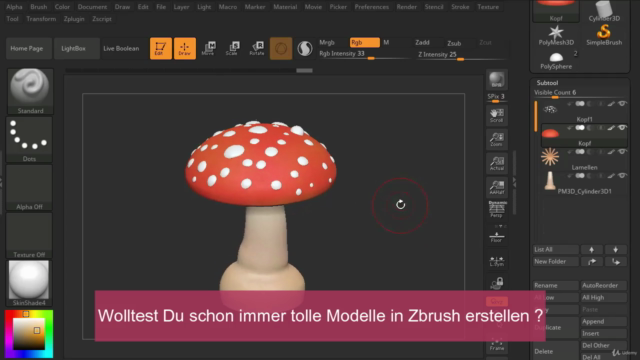 Zbrush lernen - Schnell und Einfach (deutsch) - Screenshot_01