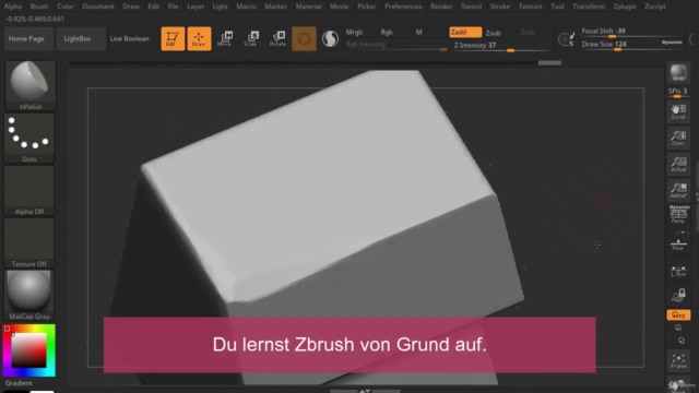 Zbrush lernen - Schnell und Einfach (deutsch) - Screenshot_02