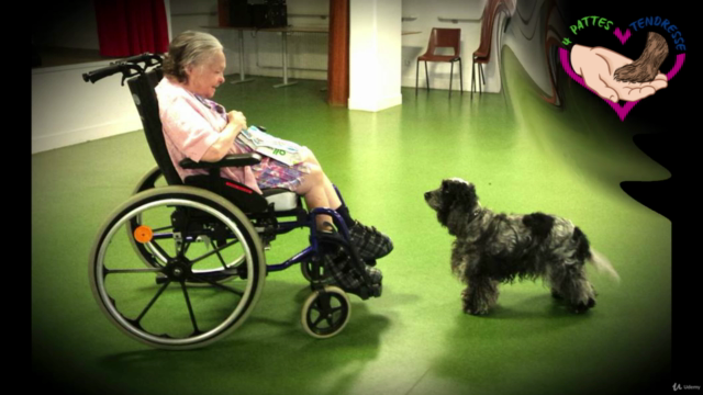 Training du chien-médiateur – Screenshot 4