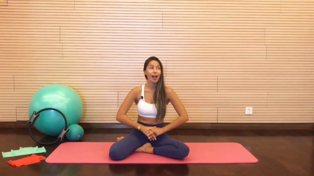 Pilates with props: Pilates Ring,Mini Ball,Fit Ball and Band – Screenshot 4