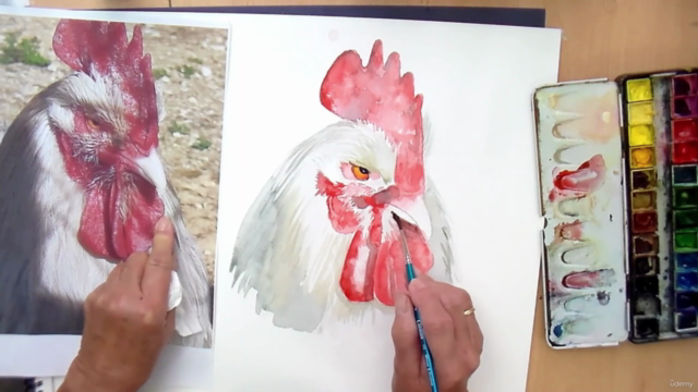 RELAX paint FUN watercolor CHICKENS. Shape, pose & colors. – Screenshot 1