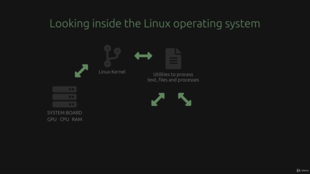 Linux Command Line and BASH Scripting – Screenshot 1