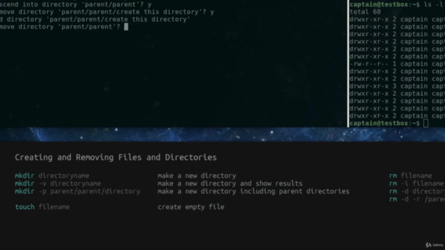 Linux Command Line and BASH Scripting – Screenshot 3