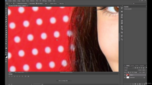 Le PACK: Initiation à Photoshop et au Cinemagraph – Screenshot 2