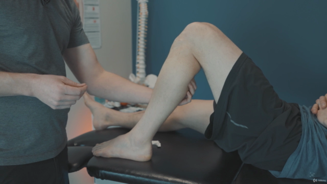 IMS Dry Needling for Healthcare Professionals – Screenshot 4
