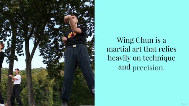 Must-Have: Wing Chun Correction Course – Screenshot 1