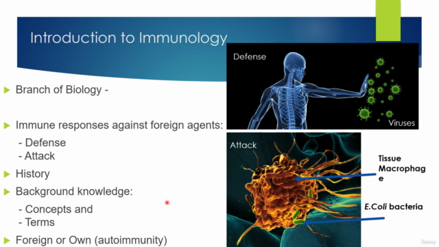 Basics of Medical Immunology – Screenshot 2