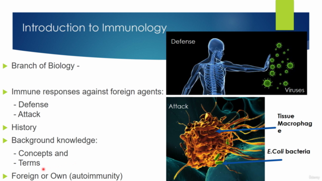 Basics of Medical Immunology – Screenshot 3