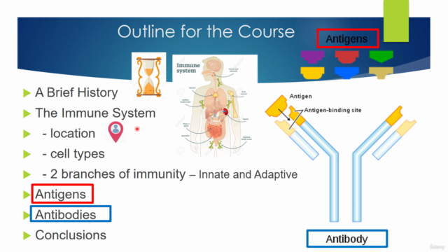 Basics of Medical Immunology – Screenshot 4