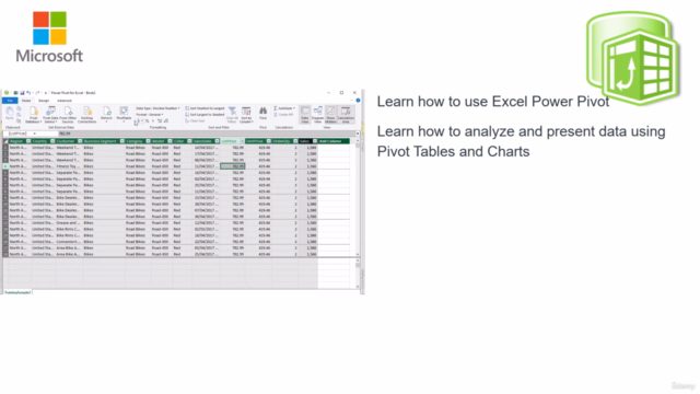 Complete Introduction to Excel Power Pivot – Screenshot 2
