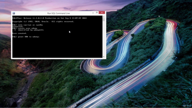 SQL For Audit, Revenue Assurance and Data Science – Screenshot 1