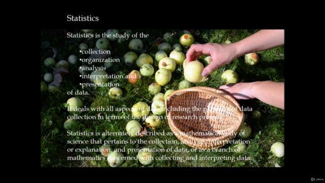 Introduction to Statistics – Screenshot 3
