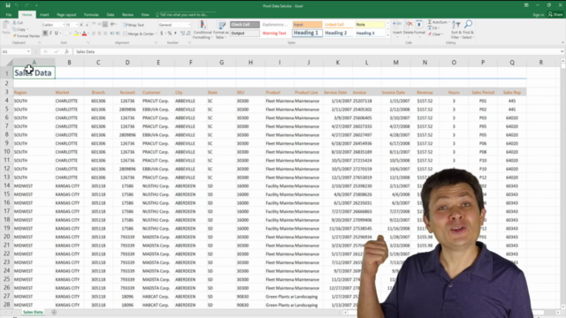 Excel Pivot Tables Data Analysis Master Class - Screenshot_02