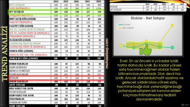 Mali Tablolar Analizi Nasıl Yapılır? – Screenshot 2