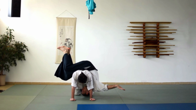 100 Aikido Ukemi Build Up - Advanced Level – Screenshot 2