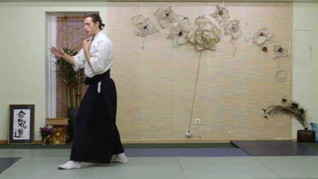 100 Aikido Ukemi Build Up - Advanced Level – Screenshot 4
