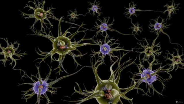 Mental Reprogramming - Bio Schumann Technology – Screenshot 3
